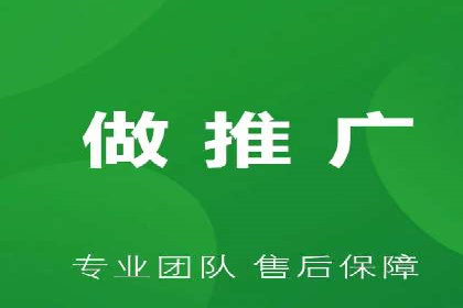 SEM代运营机构案例分析：优化策略详解